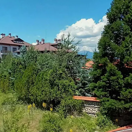 Friendly Apartment